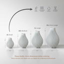 The Eres Vase -  Sizes.webp