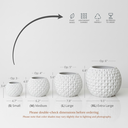 The Bubble Planter Pot -  Sizes.webp