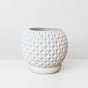 The Bubble Planter Pot -  Tray - White.webp