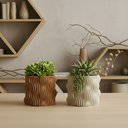 The Muxel Planter Pot -  Principal 1.webp