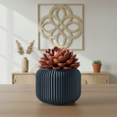 The Unis Planter Pot